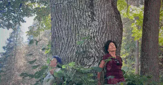 07_vacanze_estateyoga.png