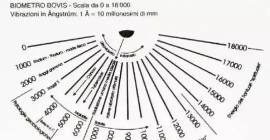 0_radiestesia_scala_bovis1.jpg