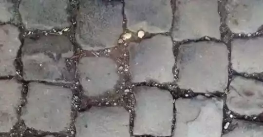 158720469_2708753245916252_5259786032548553828_n.jpg
