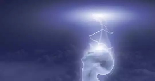 19420509_793454944147585_1508920159234553899_n.jpg