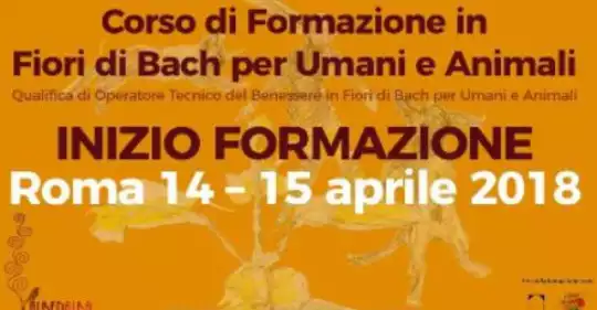 2---POST-Formazione-COLORATO-940x940_-_Copia.jpg