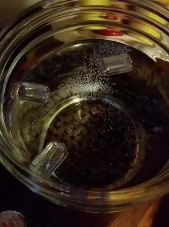27798123_1798253407142743_5504564564673933912_o.jpg