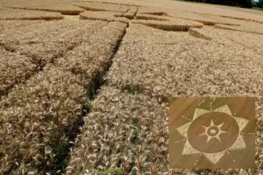 Cerchi di grano