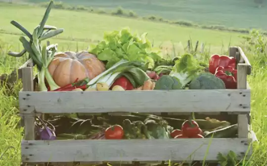 Agricoltura ed alimentazione
