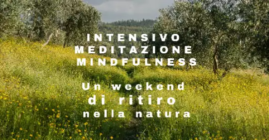 Banner_Intensivo_Mindfulness.png