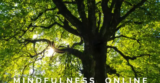Banner_mail_Mindfulness_online.png