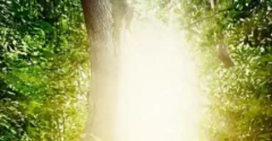 Comprensione-amore_240x240-1(1).png