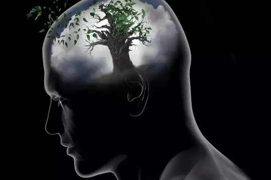 Coscienza