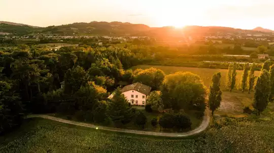DJI_0415-2_photo.jpg