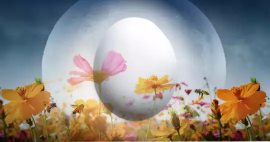 Easter_Dance_2022_Events-04.png