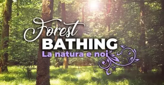 ForestBathing_news.jpg