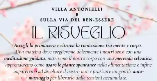 Il_Risveglio_sulla_via_del_Benessere.jpg