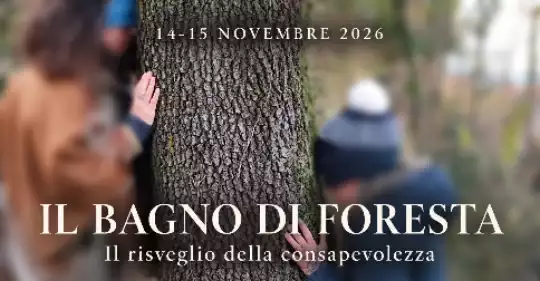 Il_bagno_di_foresta.png