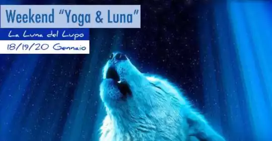 LUNA_LUPO_WEEKEND_YOGA_2019.jpg
