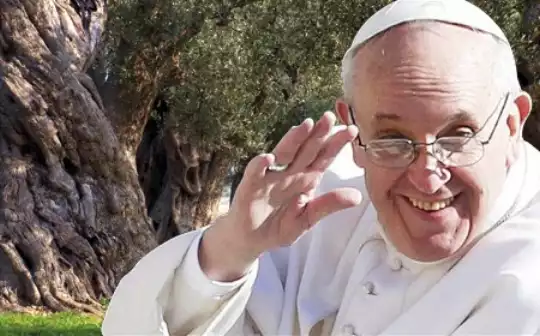 Papa Francesco e gli ulivi del salento