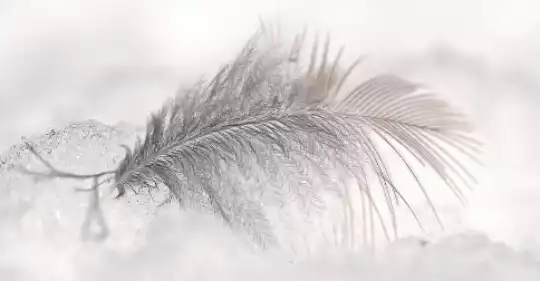SPIRITUAL(6).png
