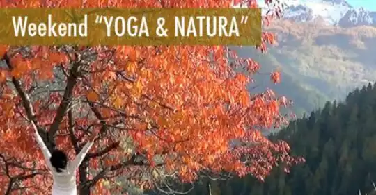 YOGA-NATURA.jpg