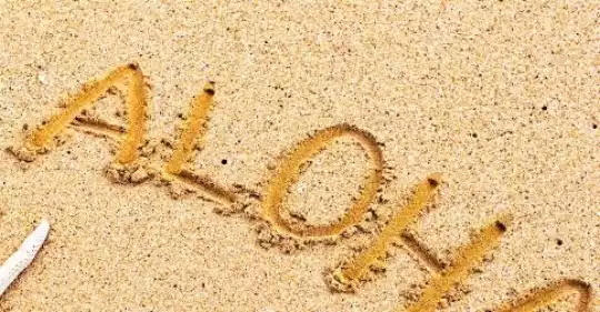 aloha.jpeg