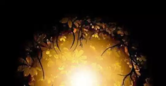 anima_3.jpg