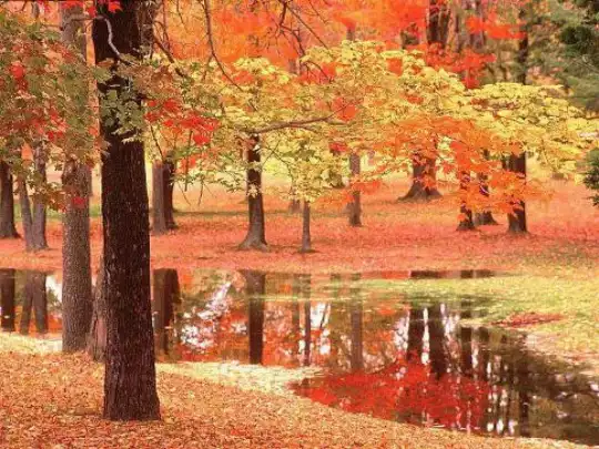 autunno1.jpg