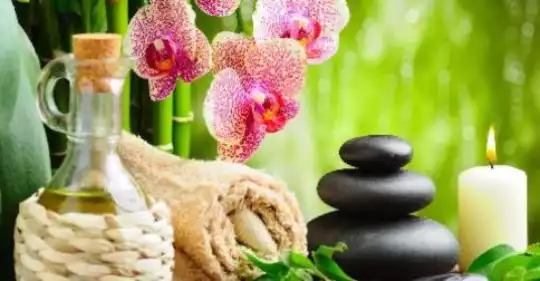 ayurveda-verso-il-riconoscimento-legge-senato-MNC2.jpg