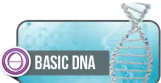 basic1(1).png