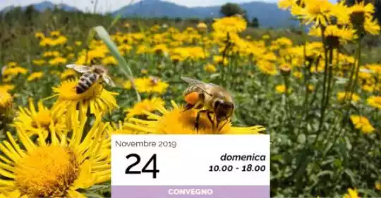convegno-api-24-11-2019-data-768x3842.jpg