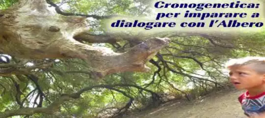 dialogare-con-lalbero(1).jpg