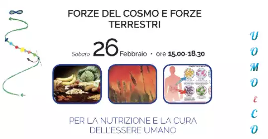 donatella-pitasi-26-2-2022-data.png