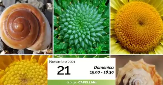 giogio-capellani-scienza-data-2021-11-21.jpg