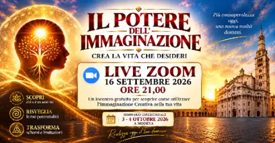 live_zoom_immaginazione_modena.png