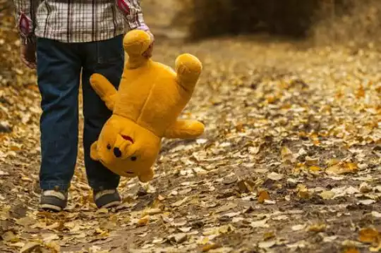 maxpixel.freegreatpicture.com-Bear-Child-Yellow-Boy-Nature-Leaves-Autumn-1051288.jpg