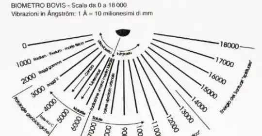 radiestesia_scala_bovis.jpg