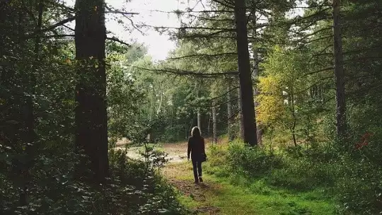 Spiritualità Naturale