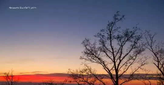 tramonto(1).jpg