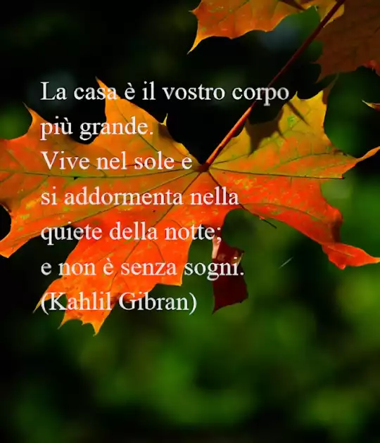 Cos'è la vera Casa