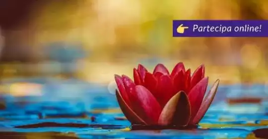 viaggio-sulla-terra-meditazione_channeling(1).jpg