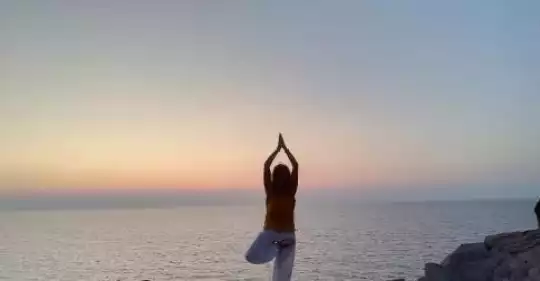 vrkasana.jpg