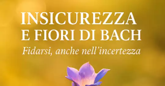 webinar_insicurezza1.png